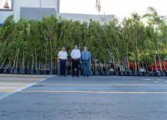 *Adquiere Gobierno de Valle Hermoso 200 árboles para reforestación urbana*