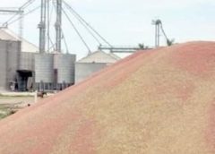 Demandan que acopiadores de granos presenten garantía de solvencia económica