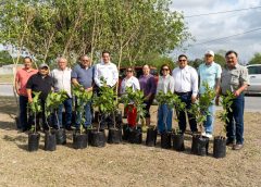 *Inicia alcalde Dr. Alberto Alanis Villarreal reforestación en áreas verdes del municipio*